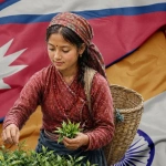 नेपाली चियामा