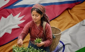 नेपाली चियामा भारतीय अवरोध : गुणस्तरको समस्या कि व्यापारिक युद्ध ?